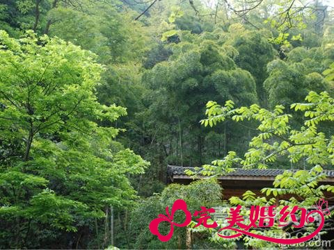 安吉旅游之荷花山