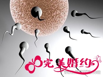 精子存活率低怎么办?